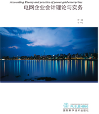 Accounting concept of power grid enterprises